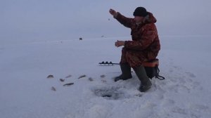 ХИТРЫЙ ПОДХОД К РЫБАЛКЕ НА ОКУНЯ