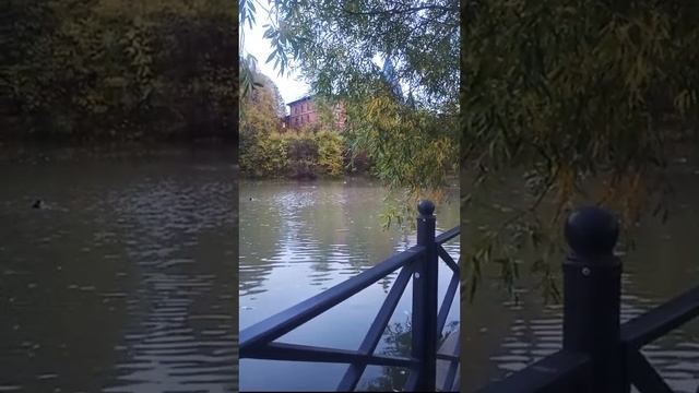 МЕСТО СИЛЫ - Медитация в Полнолуние 09.09.2022 смотреть онлайн