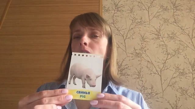 Занятие 1 «Домашние животные» смотреть онлайн