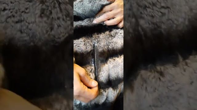 Шуба из шиншиллы) смотреть онлайн