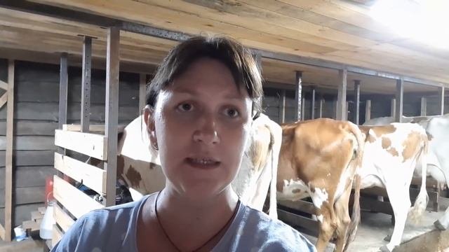 ВОТ КОГО МЫ УЖЕ ПРОДАЛИ...СКОРО ОТЁЛ! КАК КОРМИТЬ КОРОВ, ЧТОБЫ ПОВЫСИТЬ УДОИ.Рационы кормления коро