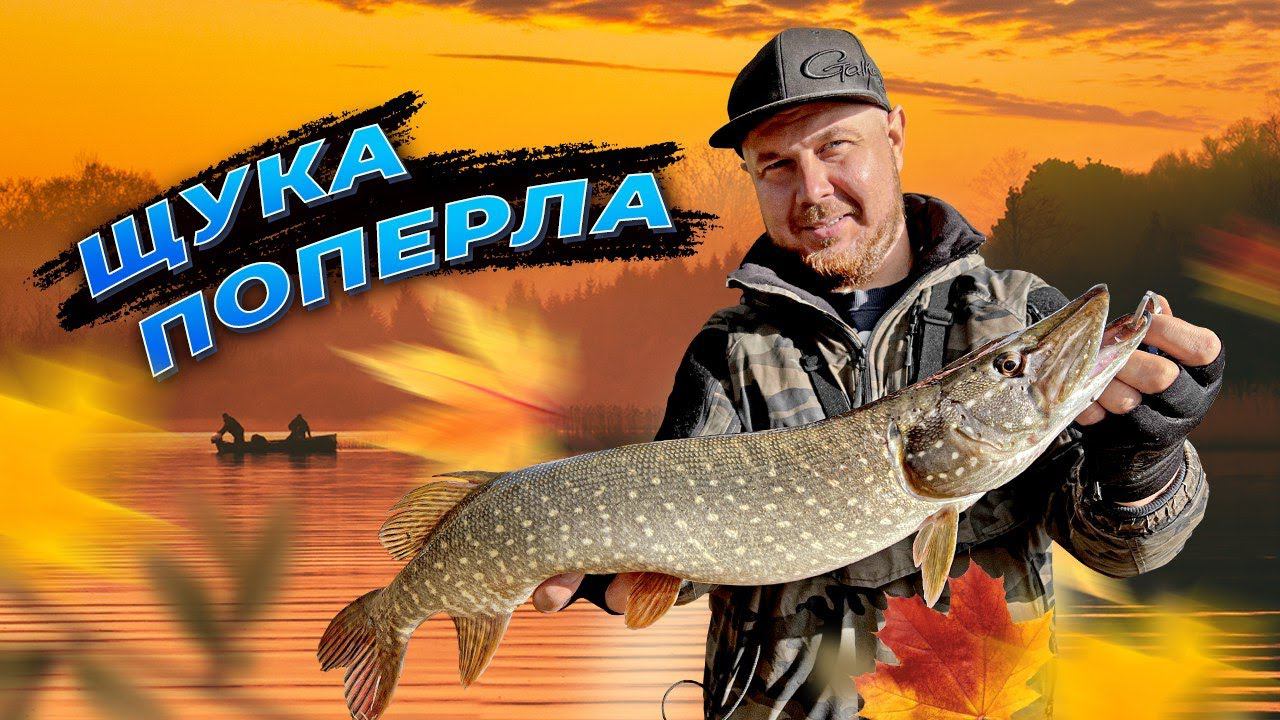 ТОП ПРИМАНОК НА ОСЕННЮЮ ЩУКУ! смотреть онлайн