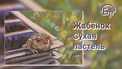 Жабенок. Сухая пастель