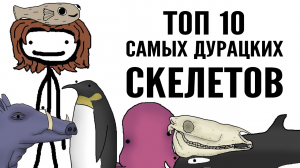 Топ 10 самых дурацких скелетов - Академия Сэма Онеллы (Озвучка Rumble)