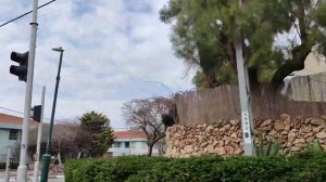 Абрамович и Невзлин. Как живут самые богатые ЕВРЕИ в ИЗРАИЛЕ?