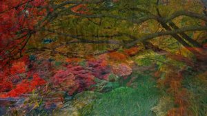 ПРИРОДА ЯПОНИИ