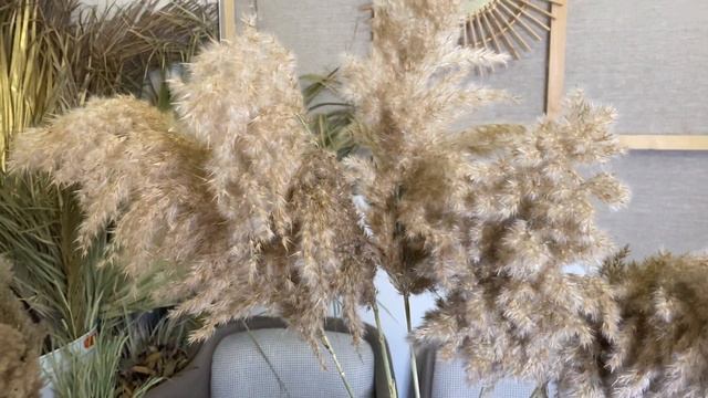 Камыш Бурый 125 см 5 шт., сухоцвет, пампасная трава, dried flowers, Grass Pampas beige by OBJECTS смотреть онлайн