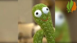 Танцующий кактус