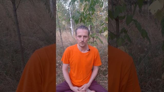 Знание истины освобождает! Что такое дхарма? смотреть онлайн