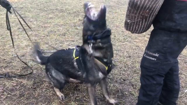 Серпухов. Осень 2021. Train or die.