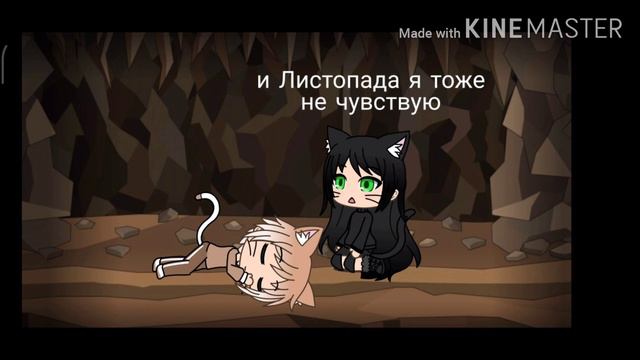 Коты-воители | История Остролистой |~в двух словах •Gacha Life•