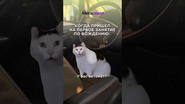Получи права в Мегаскилл #автошколаспб #автошкола #автошколаспб