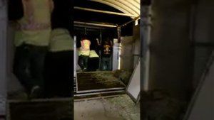 Как летают лошади?/Транспортировка лошадей самолетом компанией Кони Экспресс