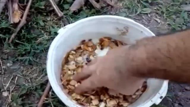 ?  КОПЧЕНИЕ В ДОМАШНИХ УСЛОВИЯХ: учимся и познаём азы