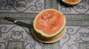 Как сохранить арбуз до Нового Года....