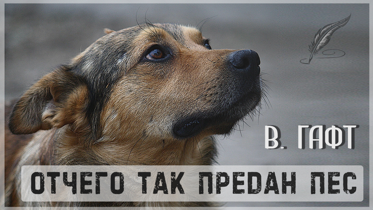 Отчего так предан пес Гафт смотреть онлайн