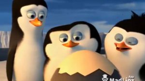 маты пингвины мадагаскар плохие слова