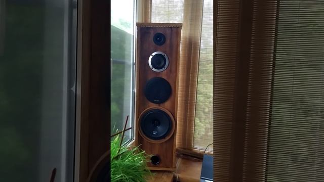 Самодельные колонки сделаны по размерам и принципу колонок jamo c809 смотреть онлайн