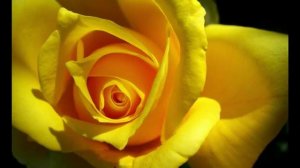 Татьяне - Если б тебя в этом мире,любимая,не было