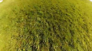 JVP Karlovac - Osposobljavanje za desantiranje i gašenje šumskih požara