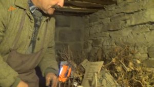 МОЙ СПОСОБ ХРАНЕНИЯ САЖЕНЦЕВ ВИНОГРАДА ЗИМОЙ. ПРОВЕРЕНО И НАДЁЖНО!