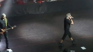 Алиса-Дождь и я (Калининград 17.11.2018)