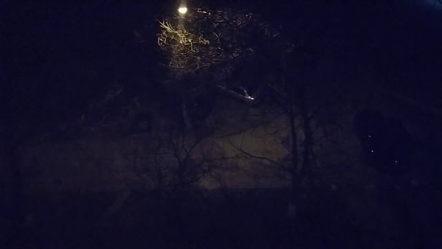 ЗАПОРОЖЬЕ ВОТ ЧТО ЭТО УЖЕ ЛЕТАЮТ 24.02.24 смотреть онлайн