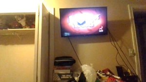 Opening To Angry Birds Toons Season Volume 2 2013 DVD