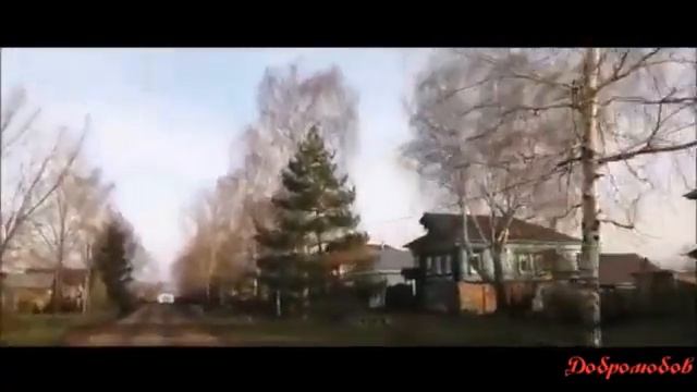 Болит душа моя за русскую деревню Добролюбов Павел смотреть онлайн