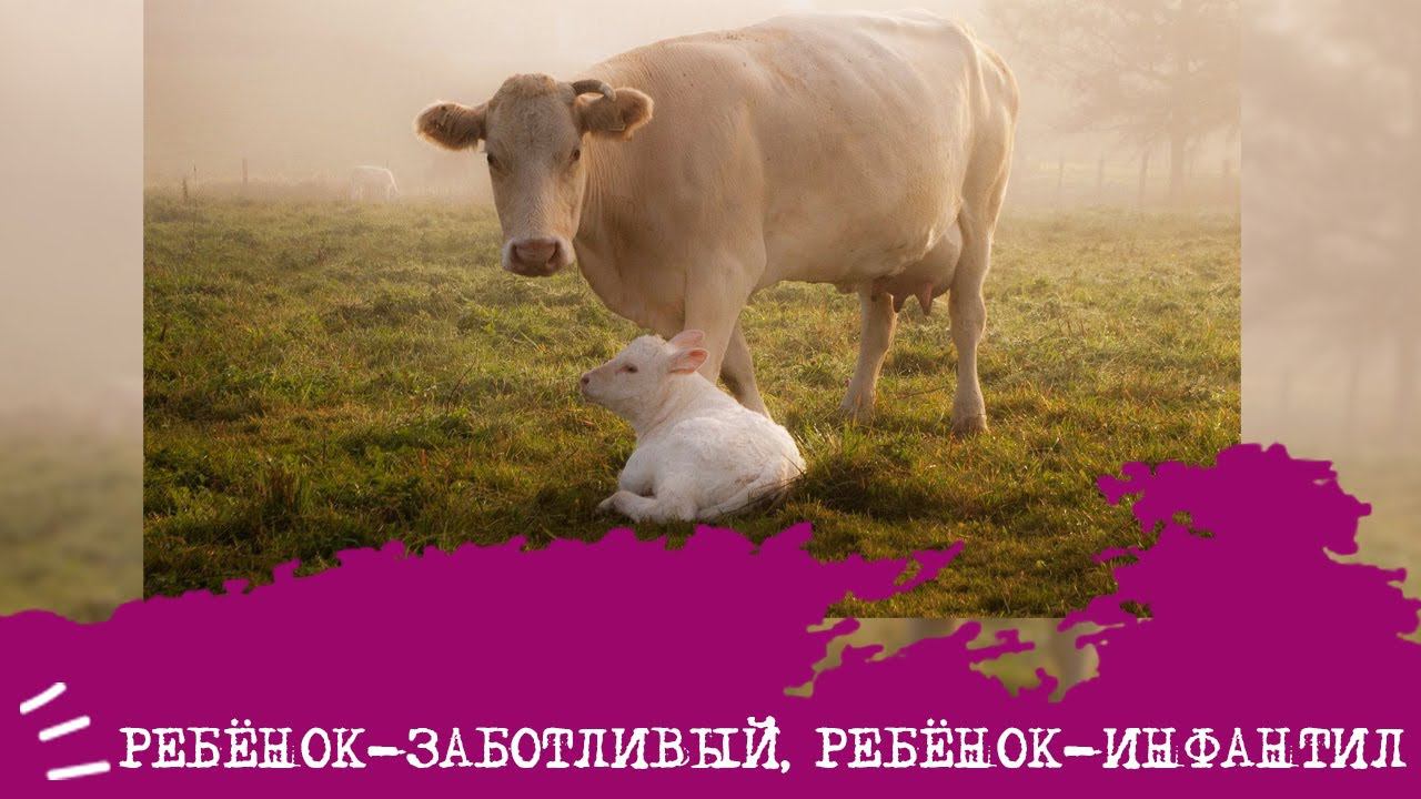 РЕБЕНОК-заботливый, ребенок-ИНФАНТИЛ