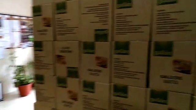 🇪🇸 Иммиграция в Испанию как это?