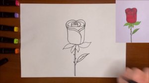 Как нарисовать розу легко вместе с Солнечным Утром.