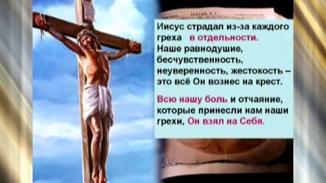 Биология прощения и нейронаука