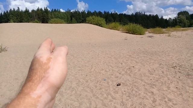 Отдых на карьере недалеко от п. Краснолесье