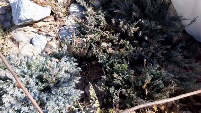 Дача 1 апреля 2021 г Обзор после зимы смотреть онлайн