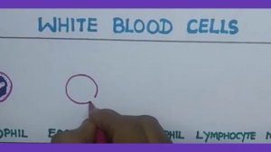 HOW TO DRAW RED BLOOD CELLS AND WHITE BLOOD CELLS/ ERYTHROCYTES AND LEUCOCYTES/R.B.C. AND W.B.C.