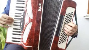 Маруся раз, два, три калина на аккордионе