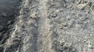 ЛТЗ-55. (Сезон пахоты закрывает Ярослав.)