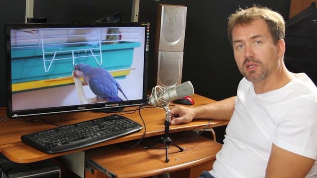 Никогда не сдавайся. never give up смотреть онлайн