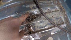 Перевариваю микроавтобус Mercedes Vito "Начало"(часть 1)