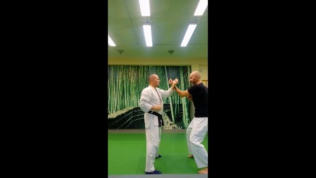 Айкидо Рычков Сергей (5-й дан)