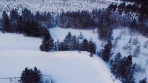 DJI MINI 2. Первый запуск без опыта управления дроном. The first launch of the drone DJI MINI 2.