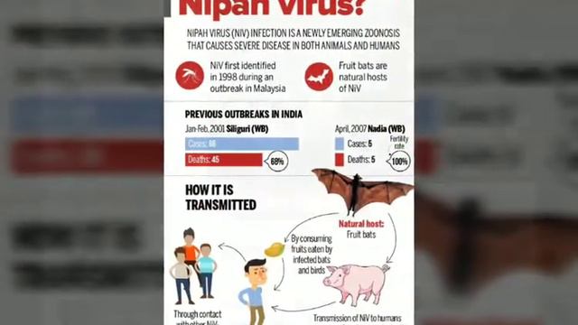 Nipah Virus