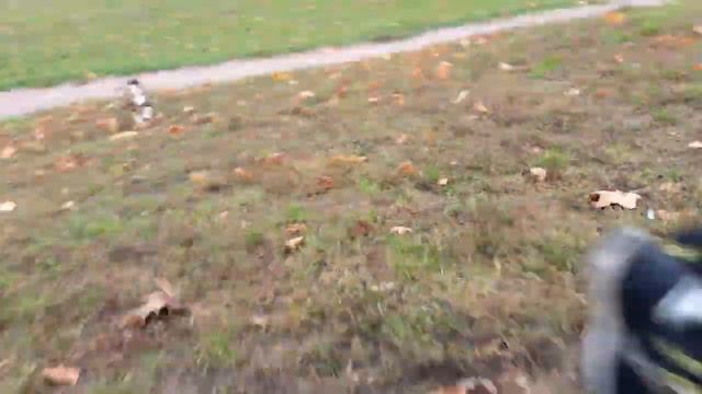 Акулка забег прогулка !) смотреть онлайн