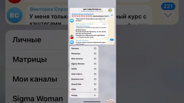 Систематизация чатов в телеграмм смотреть онлайн