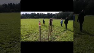 Детский лагерь, полоса препятствий