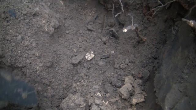 СОТНИ ГОРШКОВ ПОД ЗЕМЛЁЙ .ПОСЛЕДНИЙ ШУРФ В ЭТОМ ГОДУ !Treasure Hunters Metallist смотреть онлайн