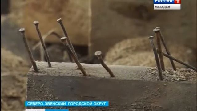 Воспитанники эвенской спортивной школы встречают осень без тренировочного зала смотреть онлайн