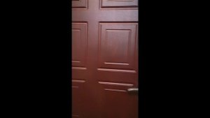 Входные металлические двери в квартиру Москва