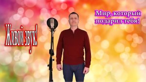 Александр Киреев, исп. Владимир Need Soul Кузьмин – Мир, который подарил тебя (cover version)